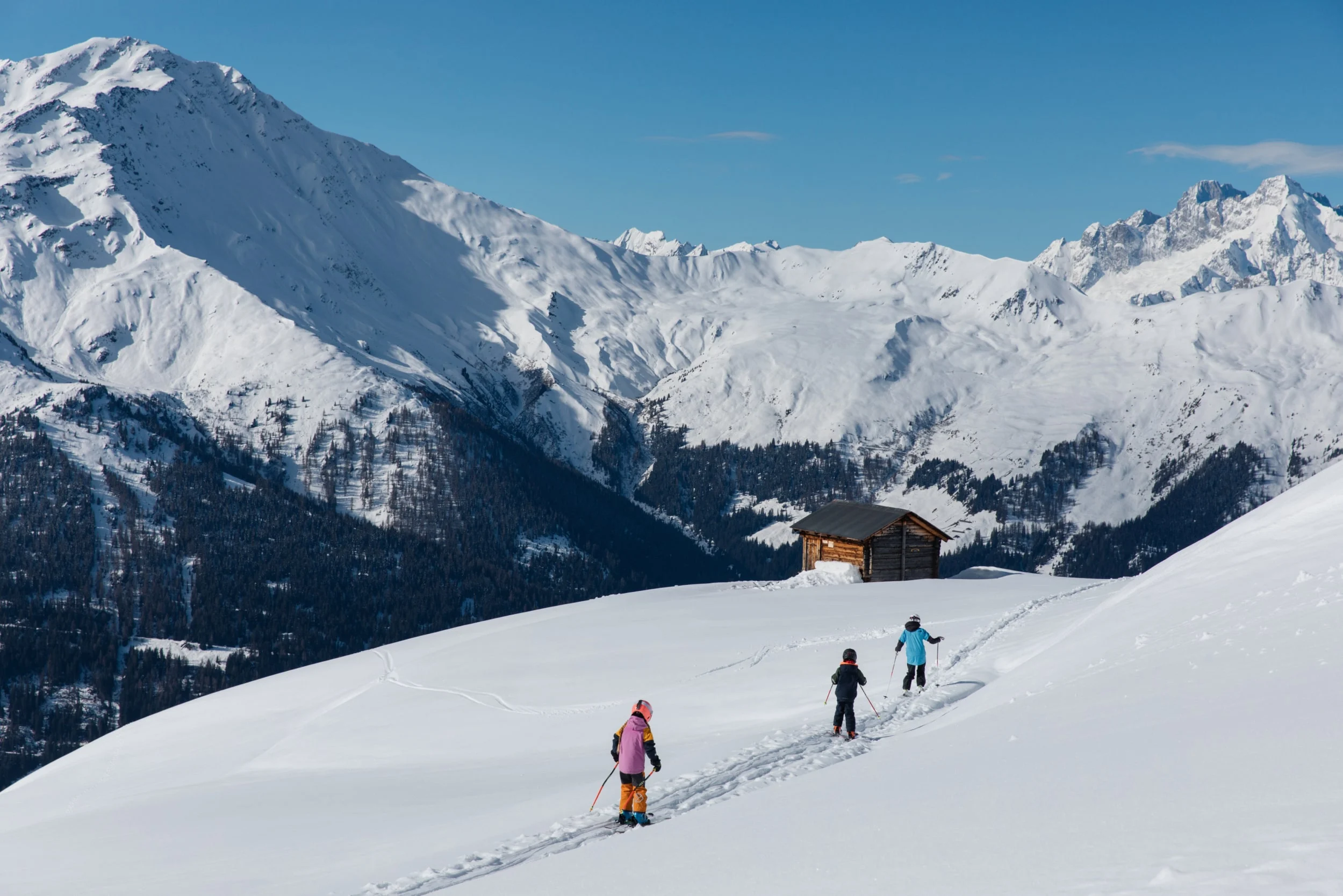 Swiss Alps Luxury Ski